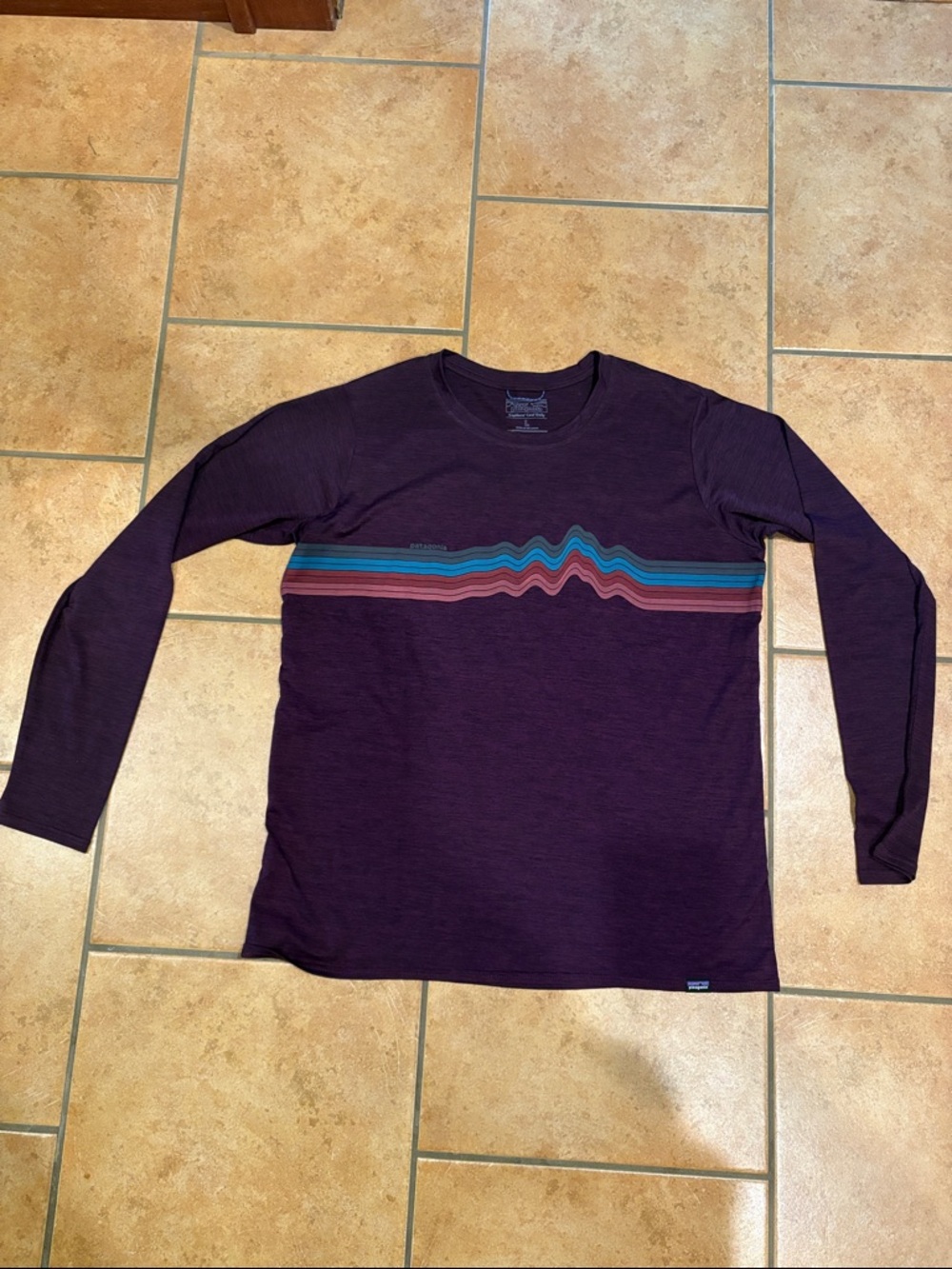 Patagonia Women's Long-Sleeve Crew in Deep Plum with Teal and Coral Stripes